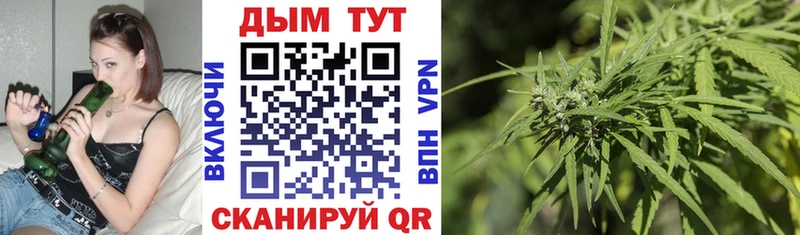 Шишки марихуана VHQ  мориарти Telegram  Вытегра  как найти закладки 